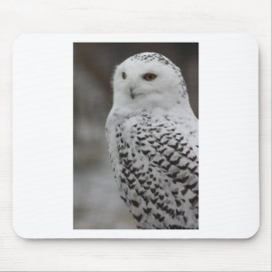 Owl Mouse Mat
