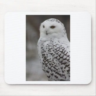 Owl Mouse Mat