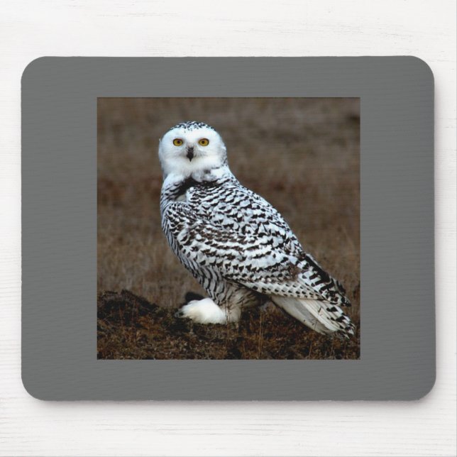 Owl Mouse Mat (Front)