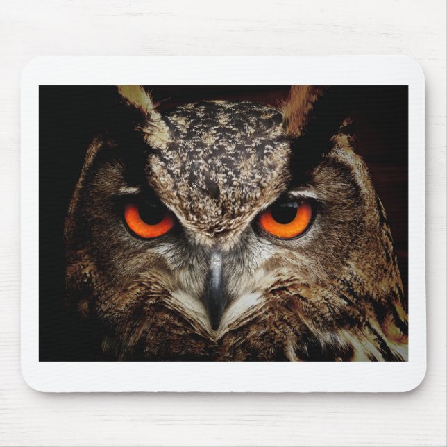 Owl Mouse Mat (Front)