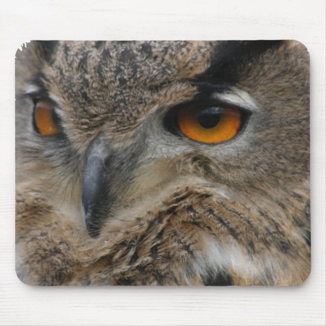 Owl Mouse Mat (Front)