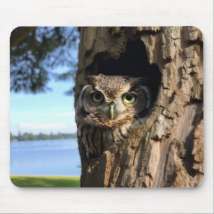 Owl Mouse Mat