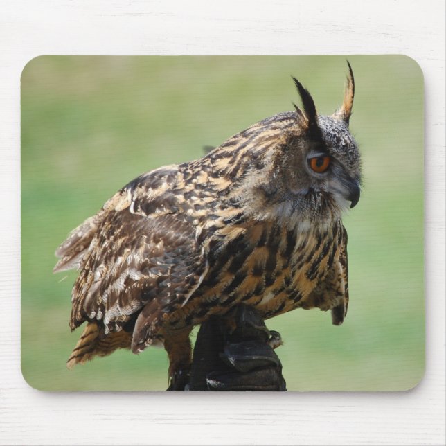 Owl Mousepad (Front)