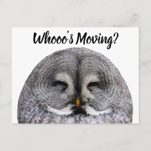Owl Moving Announcement Postcard