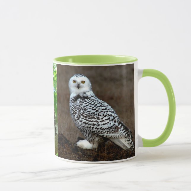 OWL MUG (Right)