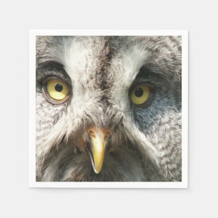 Owl Napkin
