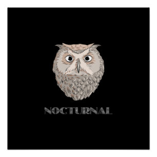 Owl Nocturnal Illustration Poster