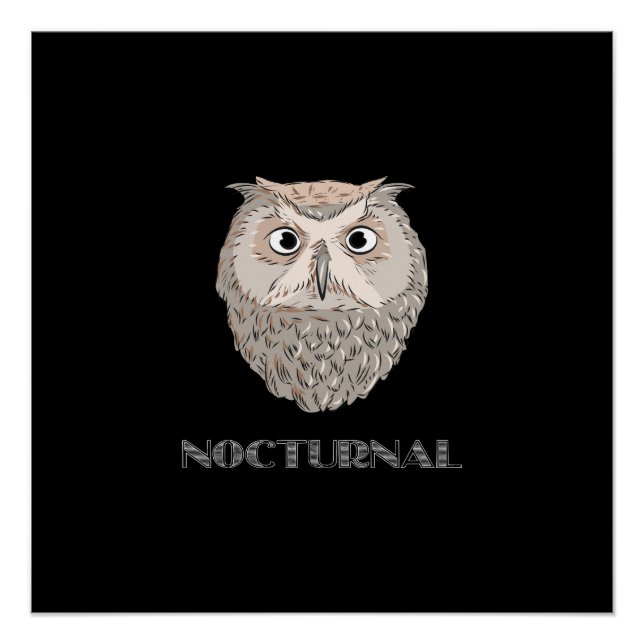 Owl Nocturnal Illustration  Poster (Front)