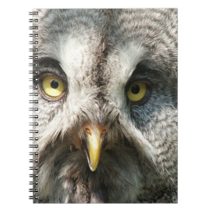 Owl Notebok Notebook