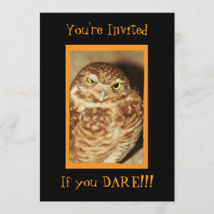 Owl of a Good Time Black Halloween Invitation