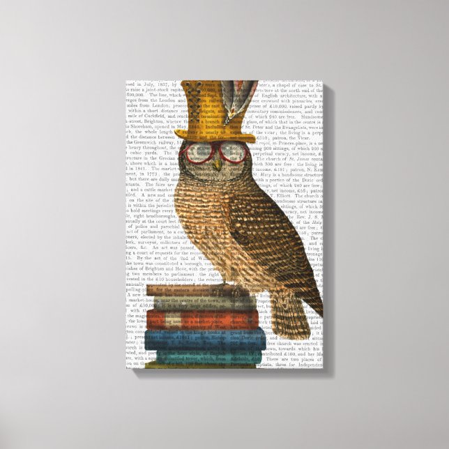 Owl On Books Canvas Print (Front)