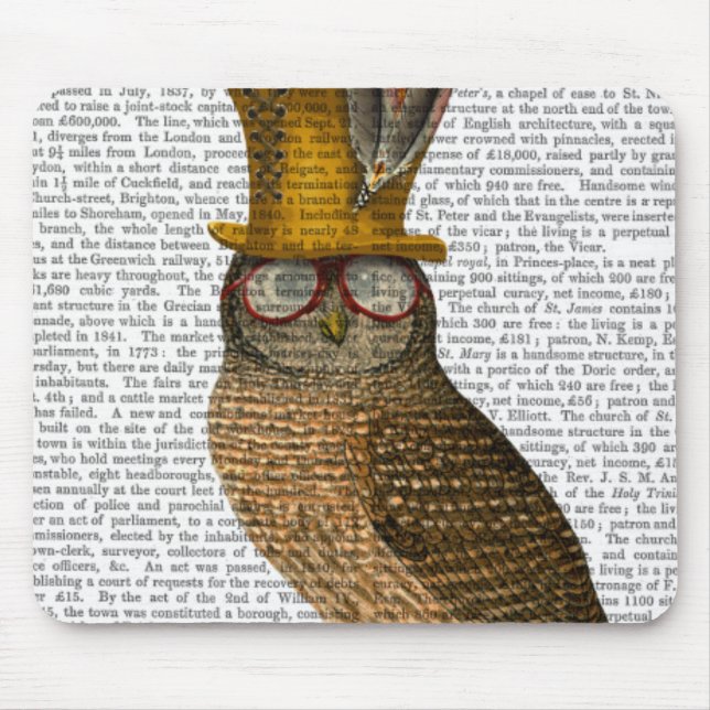 Owl On Books Mouse Mat (Front)