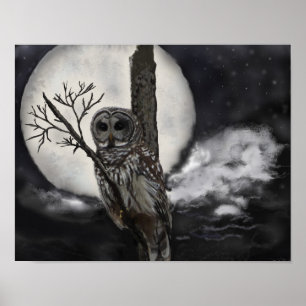 Owl on Branch in Night Sky Poster