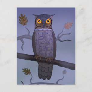 Owl on Branch Postcard