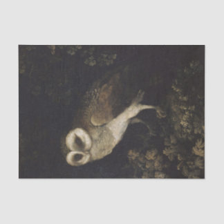 Owl on Dark Background  Tissue Paper