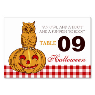 Owl on Pumpkin Gingham Pattern Table Number