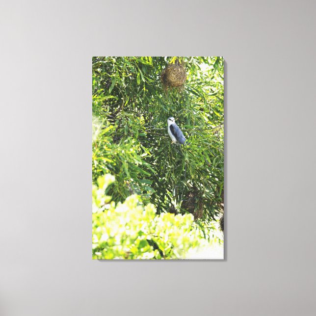 Owl perching on a tree canvas print (Front)