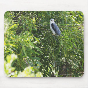 Owl perching on a tree mouse mat