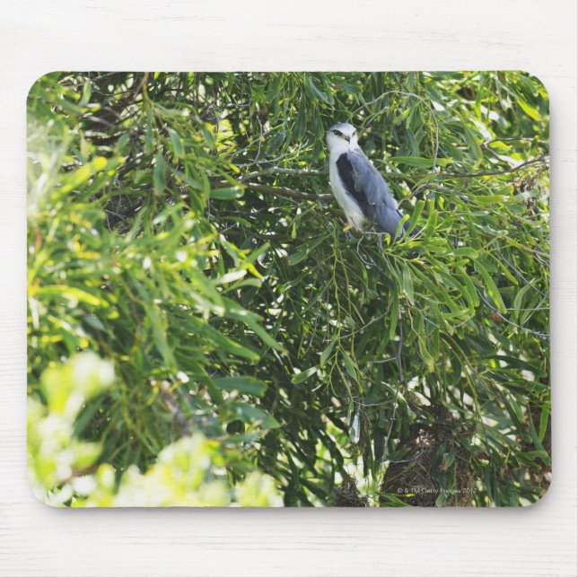 Owl perching on a tree mouse mat (Front)