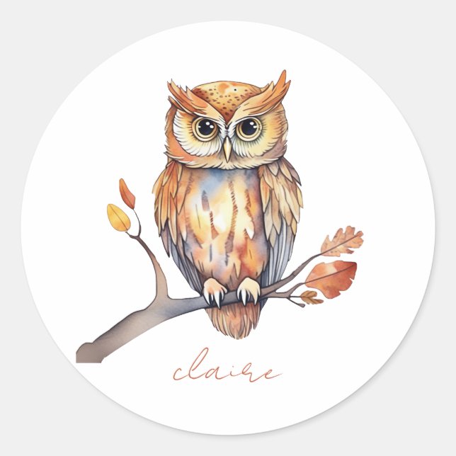 Owl Personalised Classic Round Sticker (Front)