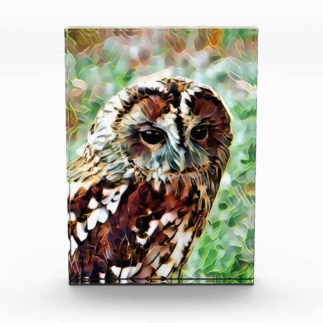 OWL PHOTO BLOCK (Front)
