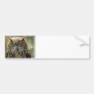 Owl Photo Bumper Sticker