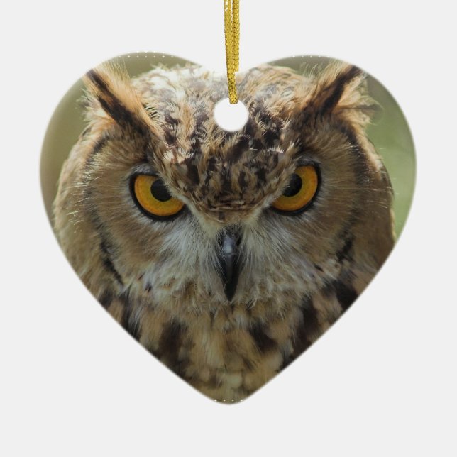 Owl Photo Ornament (Front)