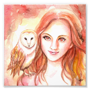 Owl Photo Print