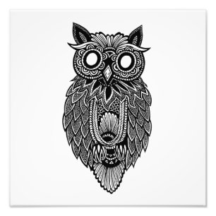 Owl Photo Print