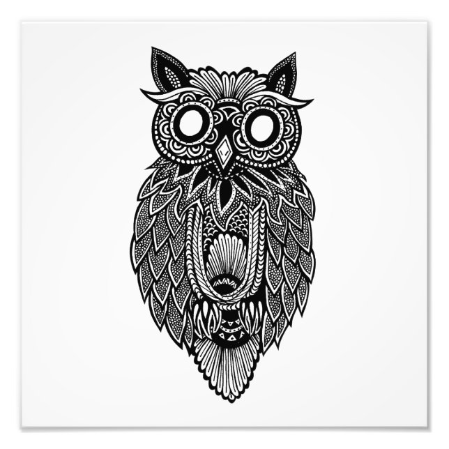 Owl Photo Print (Front)