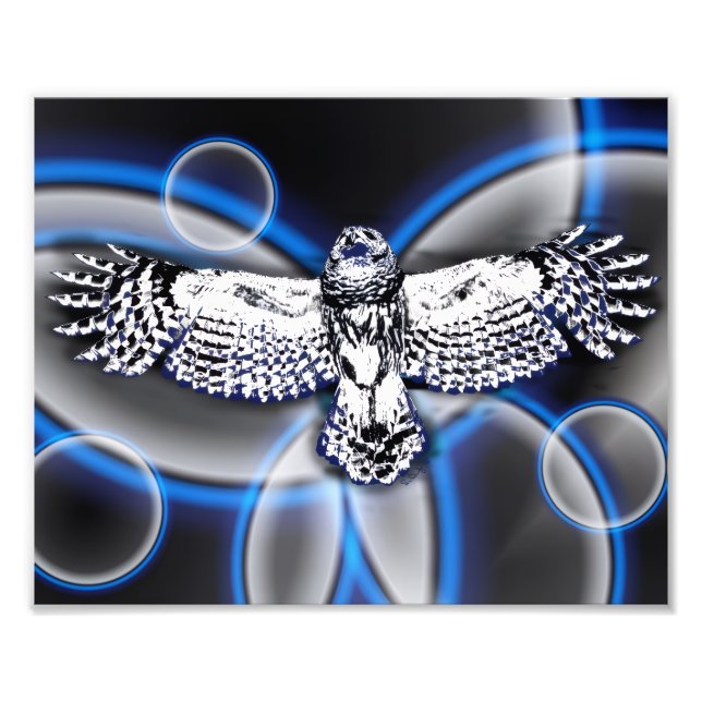 Owl Photo Print (Front)