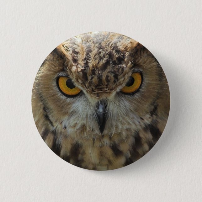 Owl Photo Round Button (Front)