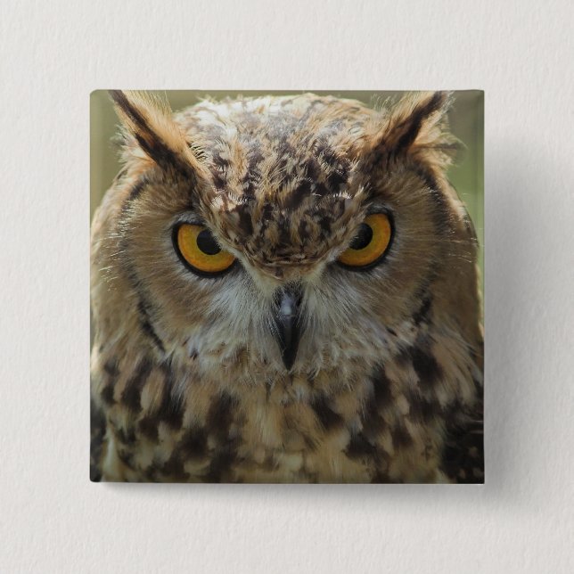 Owl Photo Square Pin (Front)