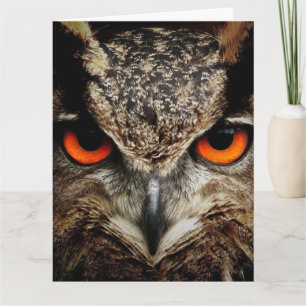 OWL Photography Oversized BIRTHDAY CARD