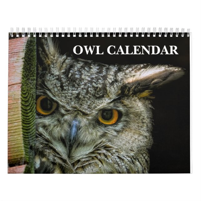 Owl Pictures and Images 2026 Calendar (Cover)