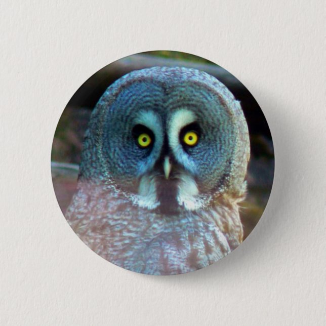 Owl Pin (Front)