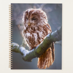 Owl Planner