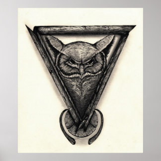 Owl Portrait, Ink and pencil illustration Poster