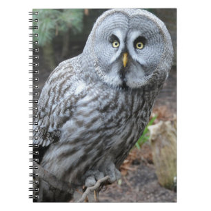 Owl Portrait Photograph Notebook