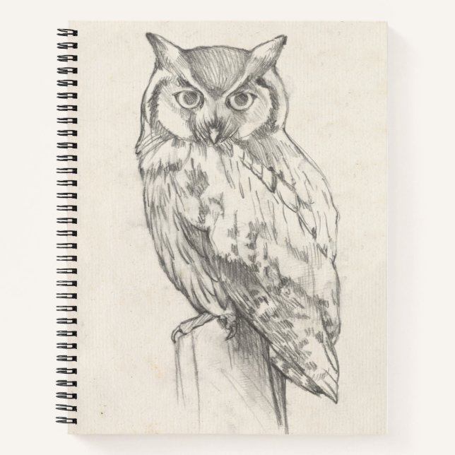 Owl Portrait - Sketch Notebook (Front)