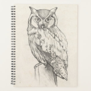 Owl Portrait - Sketch Planner