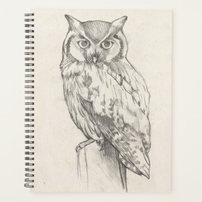 Owl Portrait - Sketch Planner (Front)