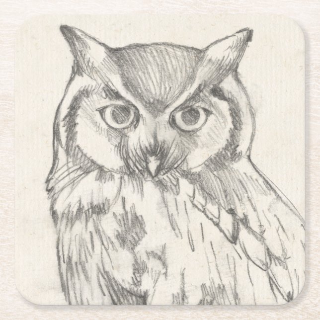 Owl Portrait - Sketch Square Paper Coaster (Front)