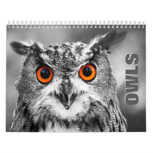 Owl Portraits Wall Calendar