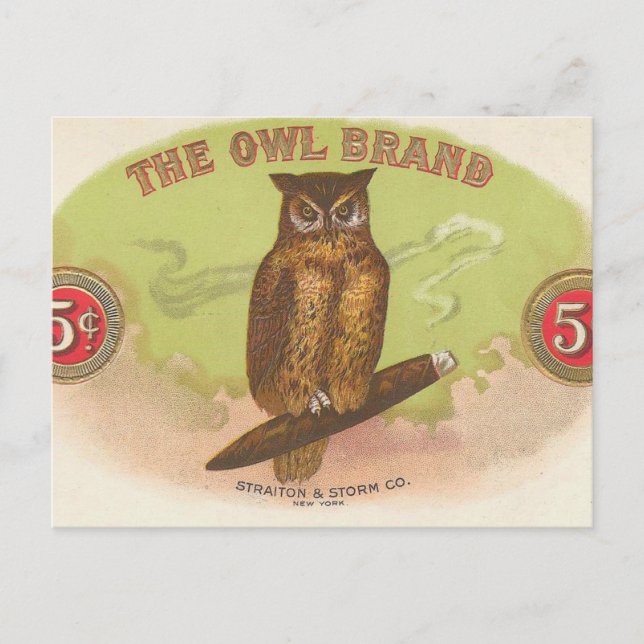 Owl Postcard (Front)