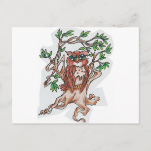 Owl Postcard