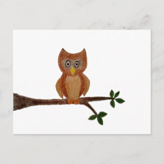 Owl Postcard