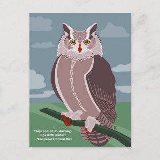 Owl Postcard