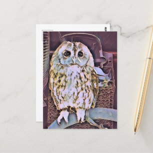 OWL POSTCARD