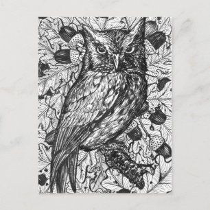 Owl Postcard